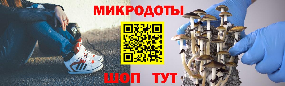 Галлюциногенные грибы GOLDEN TEACHER  Вход с VPN  Знаменск 